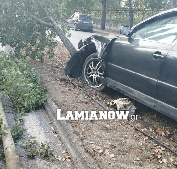 Σοκ στη Λαμία: Τον πήρε ο ύπνος στο τιμόνι, καβάλησε το κράσπεδο και πήρε σβάρνα δέντρα