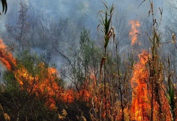 Μυτιλήνη: Φωτιά καίει ξηρά χόρτα στα Κεραμιά