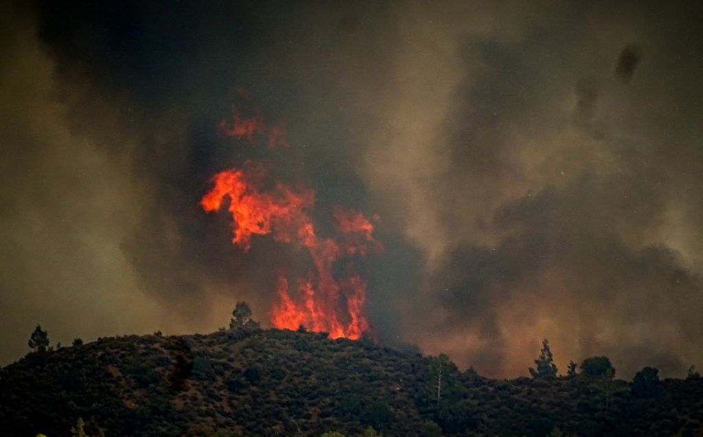 Φωτιά στη Ρόδο: Στάχτη έγιναν 50.000 ελαιόδεντρα και 2.500 ζώα και μελισσοσμήνη