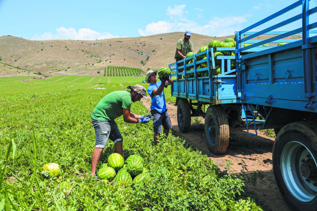 Αυξάνουν ΑΕΠ και θέσεις εργασίας