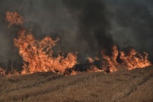 Ρεκόρ θερμοκρασιών στη Μεσόγειο: Πώς το φαινόμενο hot-dry-windy τροφοδότησε την ταχεία εξάπλωση των δασικών πυρκαγιών
