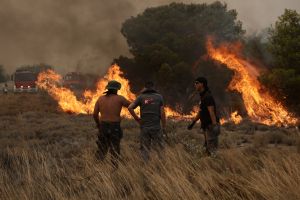 Φωτιές: Σε ύφεση τα πύρινα μέτωπα – Συνεχίζονται οι επιχειρήσεις της Πυροσβεστικής – Παραμένουν οι δύσκολες συνθήκες