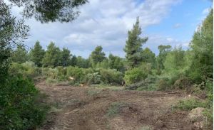 Χαλκιδική: Απαγόρευση κυκλοφορίας σε δάση και Natura