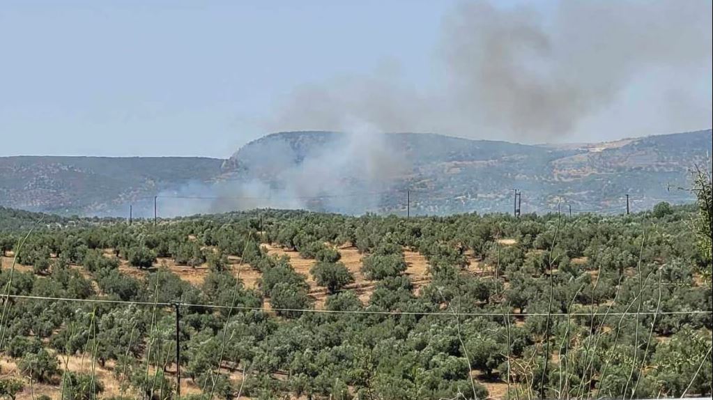 Φωτιά κοντά στο χωριό Μετόχι στην Επίδαυρο