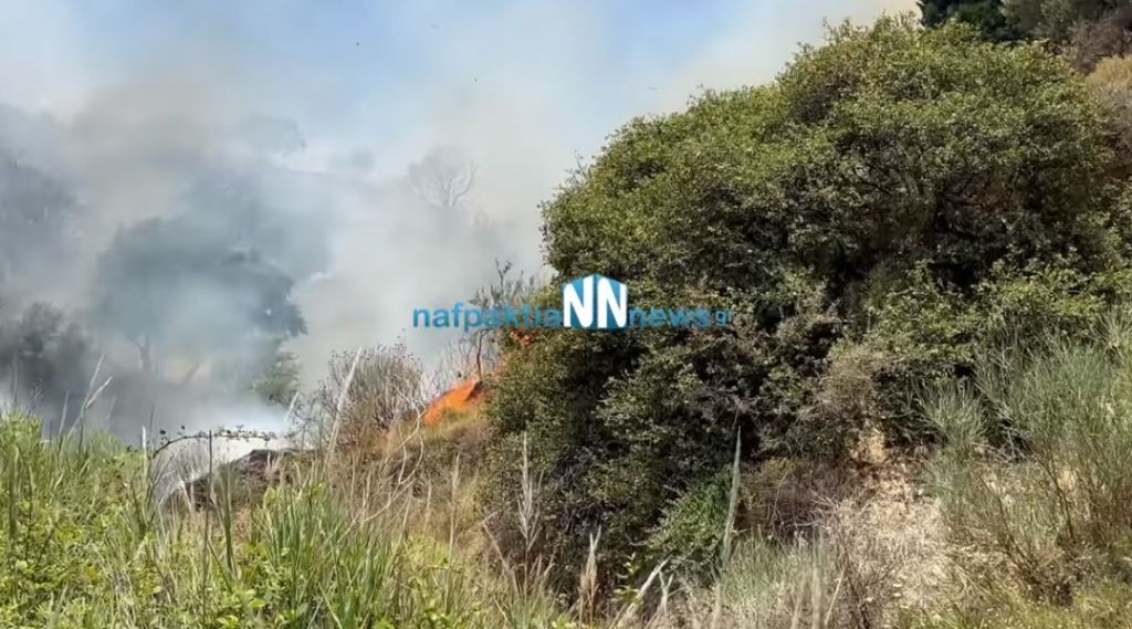 Φωτιά στη Ναύπακτο: Οριοθετήθηκε η πυρκαγιά