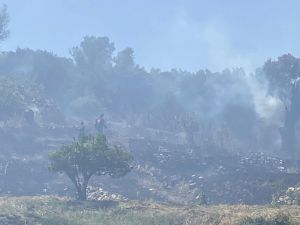 Σάμος: Συνελήφθη 32χρονος για τη φωτιά στο Καρλόβασι