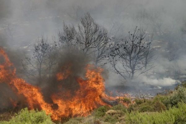 Πυρκαγιές: Ο χάρτης κινδύνου για σήμερα – Σε ποιες περιοχές στρέφεται η προσοχή
