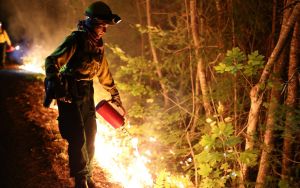 Πυρκαγιές: Οι Ινδιάνοι βάζουν τα γυαλιά στους δυτικούς