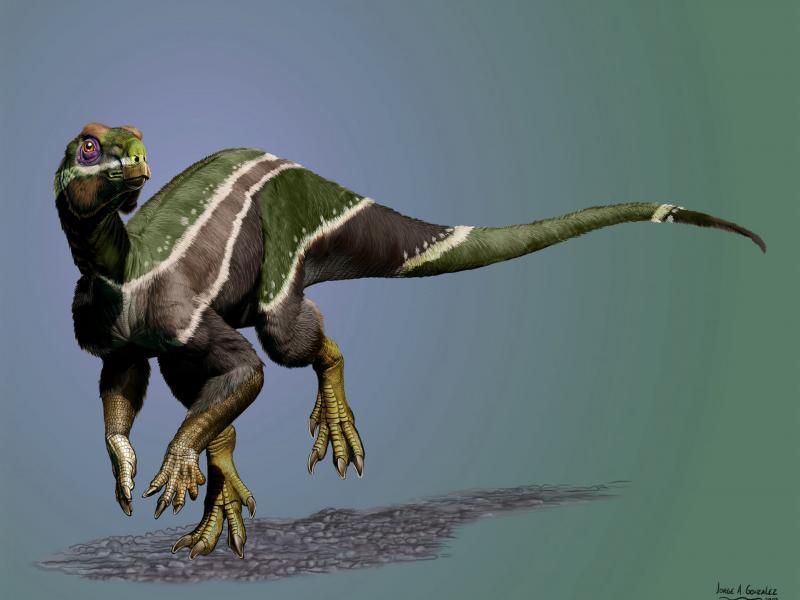 Νέο είδος δεινοσαύρου κάθε δύο εβδομάδες!