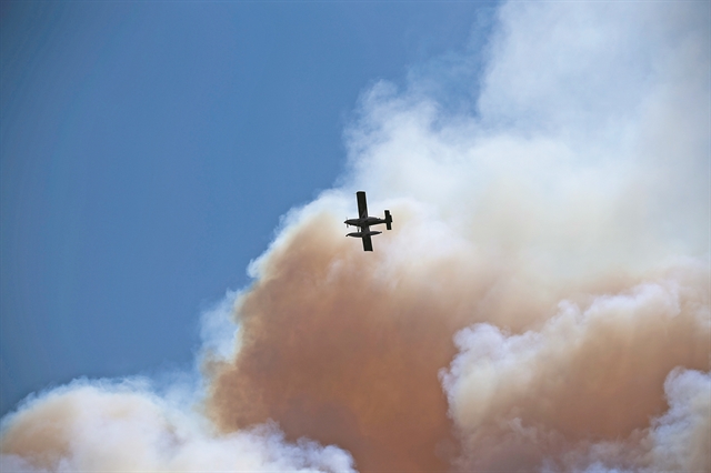 Η κατάρα της Κασσάνδρας