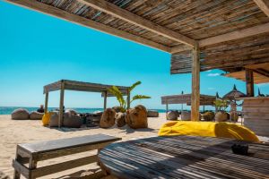 Λουκέτα σε beach bar σε Σποράδες και Θάσο