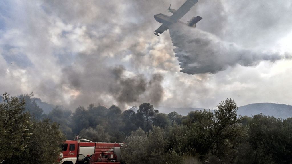 Σε ύφεση η φωτιά στο Μαρκόπουλο Ωρωπού – Καίει σε δύσβατο σημείο