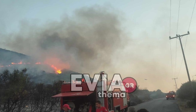 Φωτιά στο Μηλάκι Αλιβερίου κοντά στο εργοστάσιο της ΔΕΗ