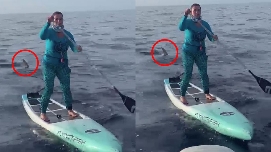 ΗΠΑ: Καρχαρίας στη Φλόριντα ακολουθούσε αθλήτρια την ώρα διαγωνισμού κωπηλασίας