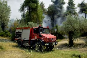 Φωτιά στο Τατόι κοντά στο αεροδρόμιο