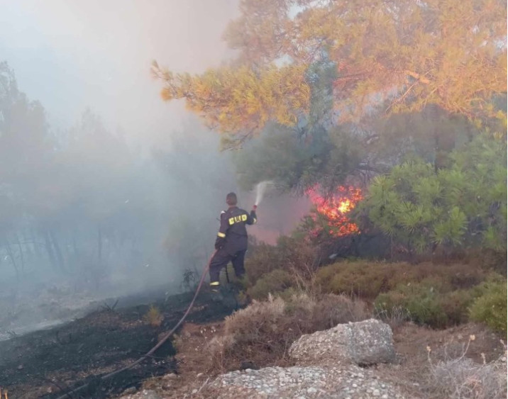 Φωτιά στη Ρόδο: Σε δύο μέτωπα η πυρκαγιά που καίει σε δύσβατη περιοχή