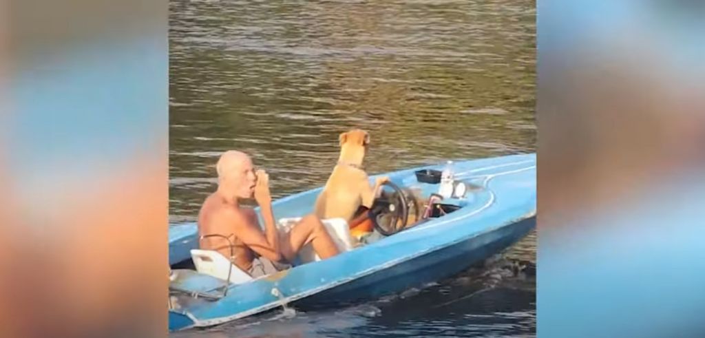Σκύλος οδηγεί σκάφος και κάνει βόλτα τον ιδιοκτήτη του