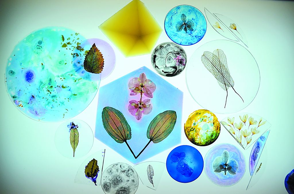 Τα νησιά ανήκουν (και) στους επιμελητές τέχνης