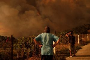 Φωτιά στον Εβρο: Αυτά είναι τα 13 μέτρα στήριξης για τους πυρόπληκτους