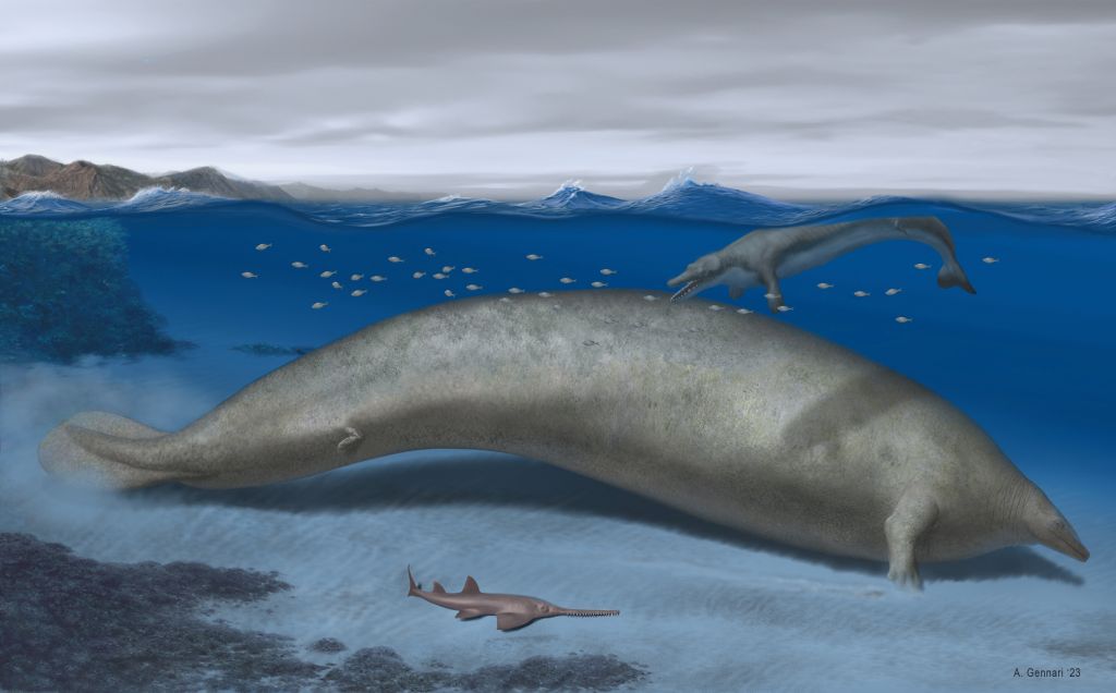Προϊστορική φάλαινα με χέρια ίσως ήταν το βαρύτερο ζώο που έζησε ποτέ