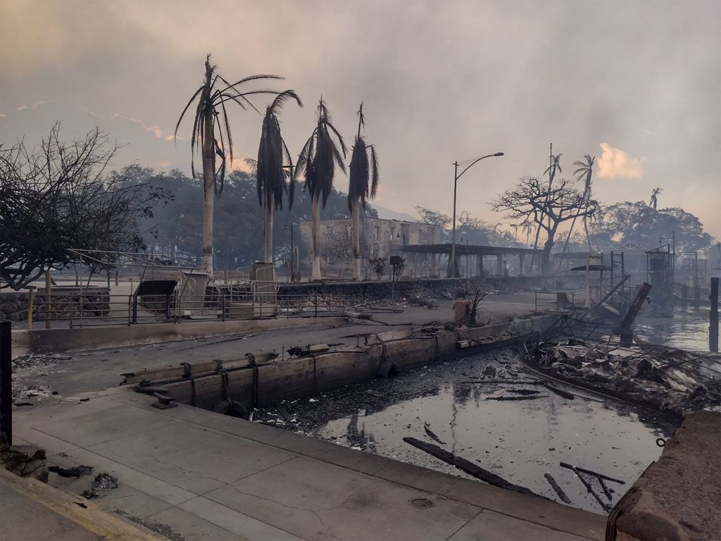 Πυρκαγιά στη Χαβάη: Σκηνές Αποκάλυψης στο Μάουι και τουλάχιστον 36 νεκροί
