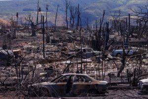 Χαβάη: «Τουρίστες κολυμπούν στα νερά που πεθάναμε»