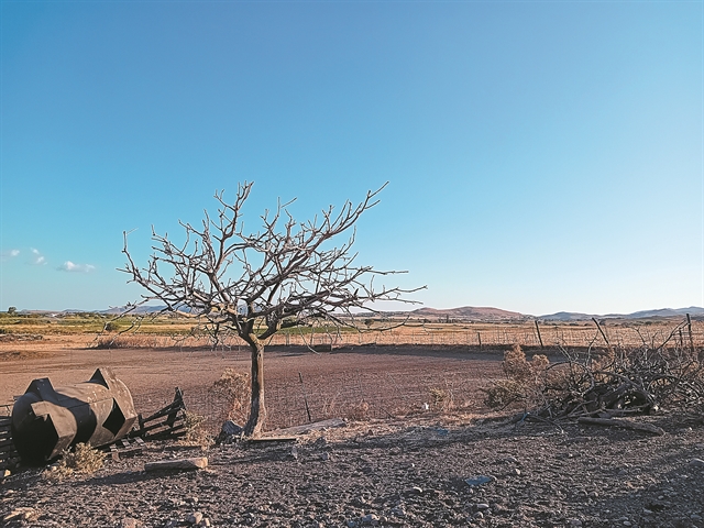 Διαδρομές μνήμης και ελευθερίας