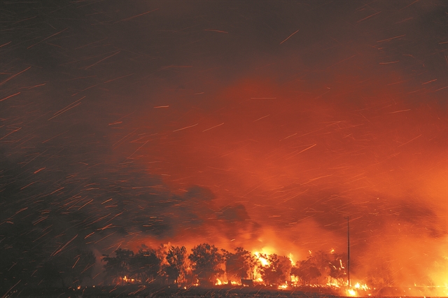 Τραγωδία στη Δαδιά με 18 μετανάστες νεκρούς