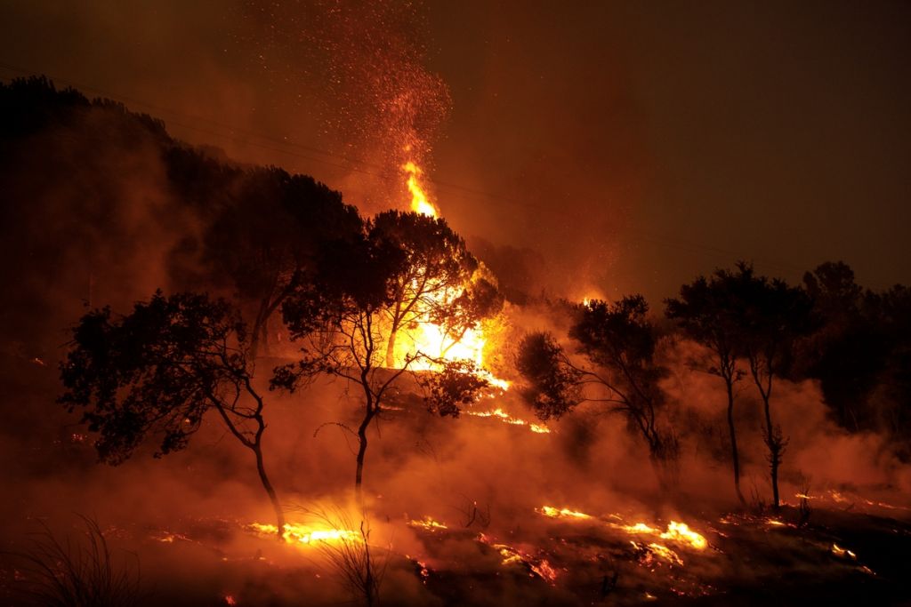 Κικίλιας για φωτιές: Εξαιρετικά κρίσιμη η κατάσταση στην Πάρνηθα – 355 δασικές πυρκαγιές τις τελευταίες 5 ημέρες