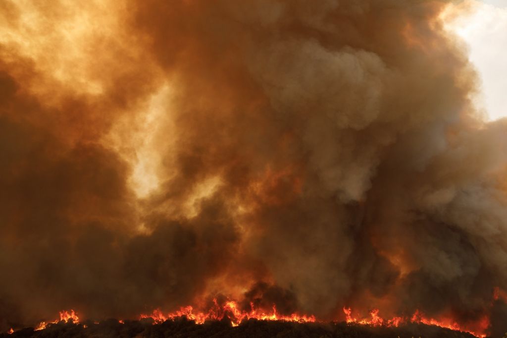 Φωτιά στον Εβρο: Επαγγέλματα απειλούνται με εξαφάνιση – Τεράστια οικολογική καταστροφή