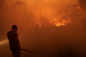 «Καμπανάκι» Συνολάκη: Θα έχουμε «μέγα πυρκαγιές» και του χρόνου
