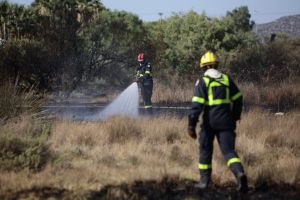 Φωτιά στα Ψαχνά της Εύβοιας