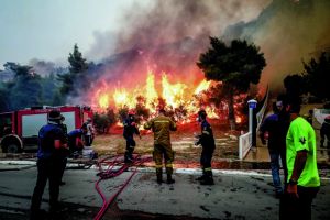 Σχήματα με ιδιώτες για προστασία των δασών