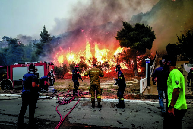 Σχήματα με ιδιώτες για προστασία των δασών