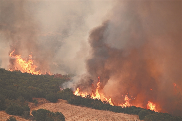 Μαζέψτε τους! 