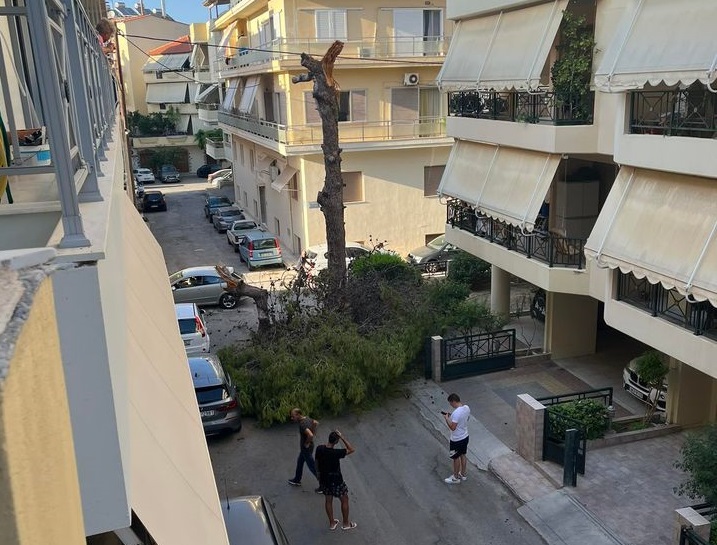 Έπεσε ξανά δέντρο στο Ηράκλειο – Από τύχη δεν τραυματίσθηκε κανείς