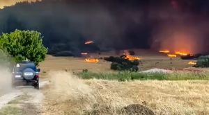 Φωτιά στην Αλεξανδρούπολη: Συνδρομή από Κύπρο και Ρουμανία – Εκτός ελέγχου το μέτωπο στη Νίψα