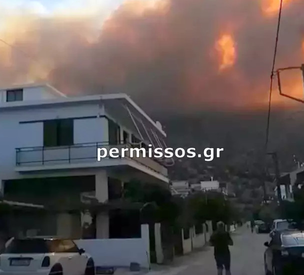 Φωτιά στην περιοχή Πρόδρομος Βοιωτίας – Ένα κτηνοτρόφος νεκρός