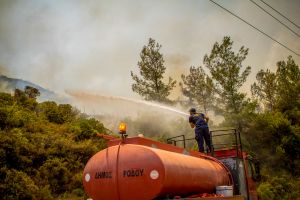 Φωτιές στη Ρόδο: Το ευχαριστώ του Γερμανού πρέσβη στην Πυροσβεστική – «Κατορθώσατε να μην…»