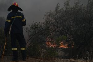 Περιορίστηκε το μέτωπο της φωτιάς στην Κάρυστο