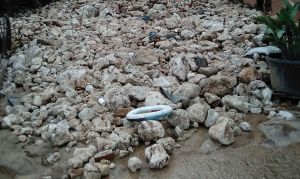 Ηλεία: Επεσε το βουνό στο σπίτι του ύστερα από κατολίσθηση