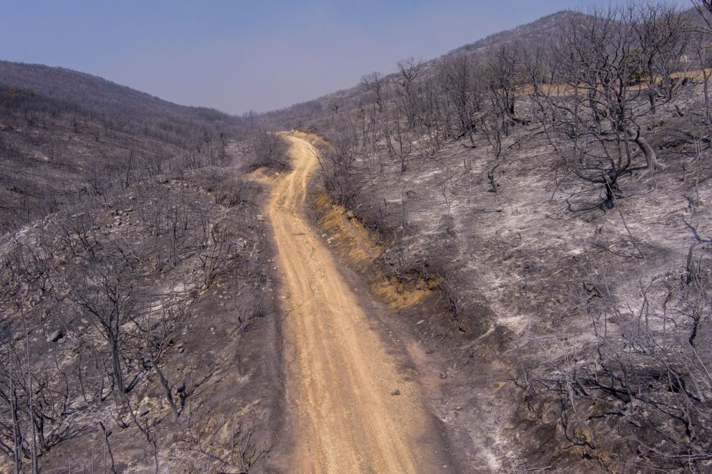 Φωτιά: Περισσότερα από 1,2 εκατ. στρέμματα κάηκαν στην Ελλάδα φέτος το καλοκαίρι