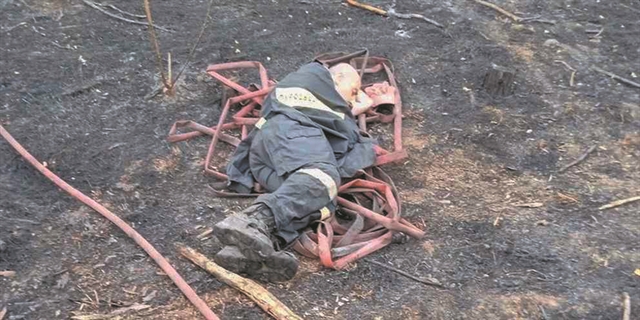 Καρπίζουν μέσα μας παλιά καλοκαίρια