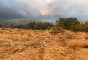 Φωτιά στην Αλεξανδρούπολη: Εντολή εκκένωσης οικισμών