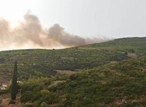 Φωτιά στο Γραμματικό: Τέσσερις διάσπαρτες εστίες – Επιχειρούν εναέρια μέσα