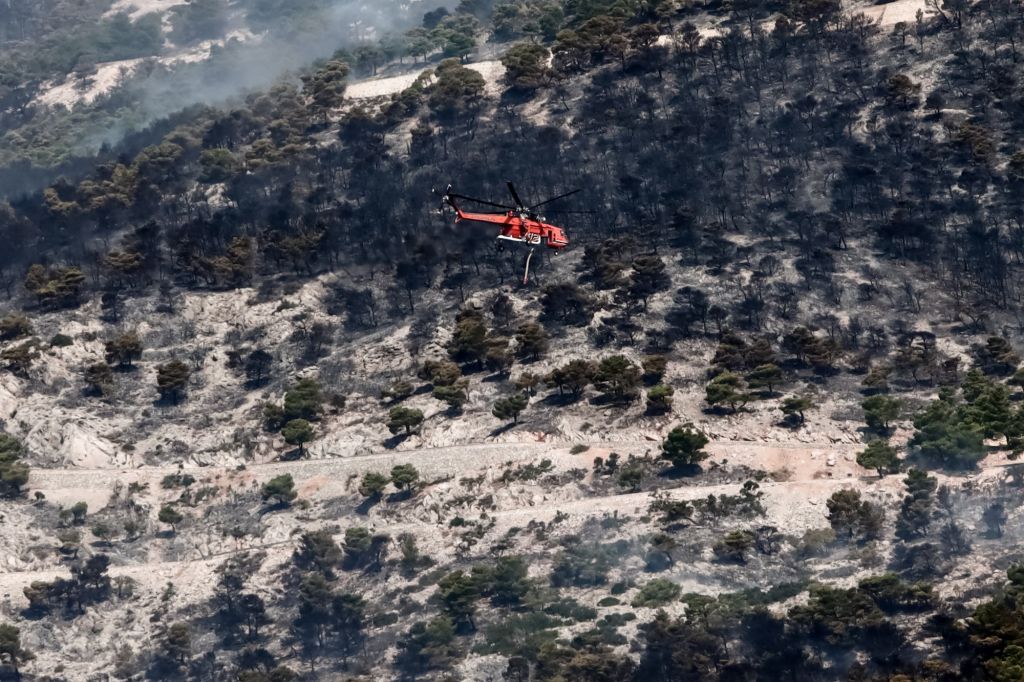 Δήμαρχος Ωρωπού: «Είχαμε 11 εστίες, τη μία μετά την άλλη»