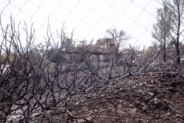 Φωτιά: Τα τελευταία 7 χρόνια κάηκε το 33% των δασών της Αττικής – Οι περιοχές που έχουν πληγεί [χάρτες]