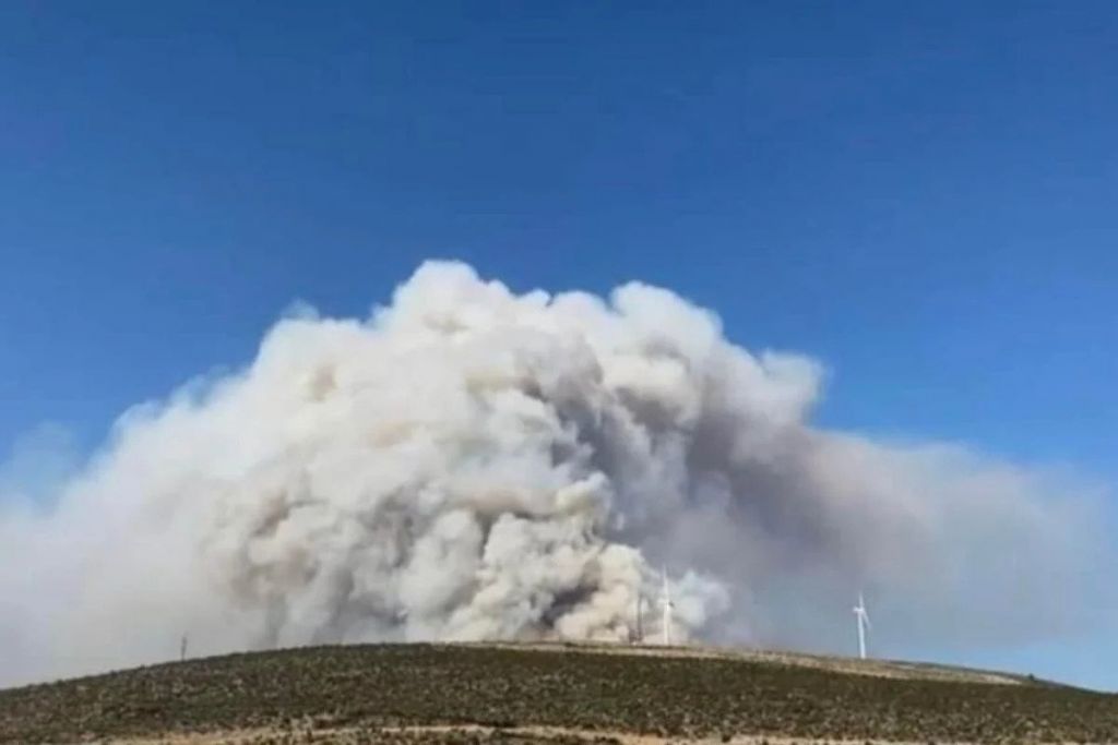 Φωτιά στη Βοιωτία: Οι αστυνομικοί απομακρύνουν κατοίκους οικισμών μετά και τον θάνατο κτηνοτρόφου