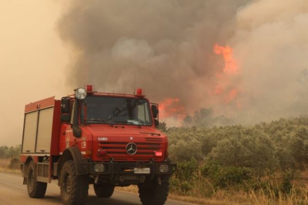 Φθιώτιδα: Πυρκαγιά σε δύσβατη περιοχή