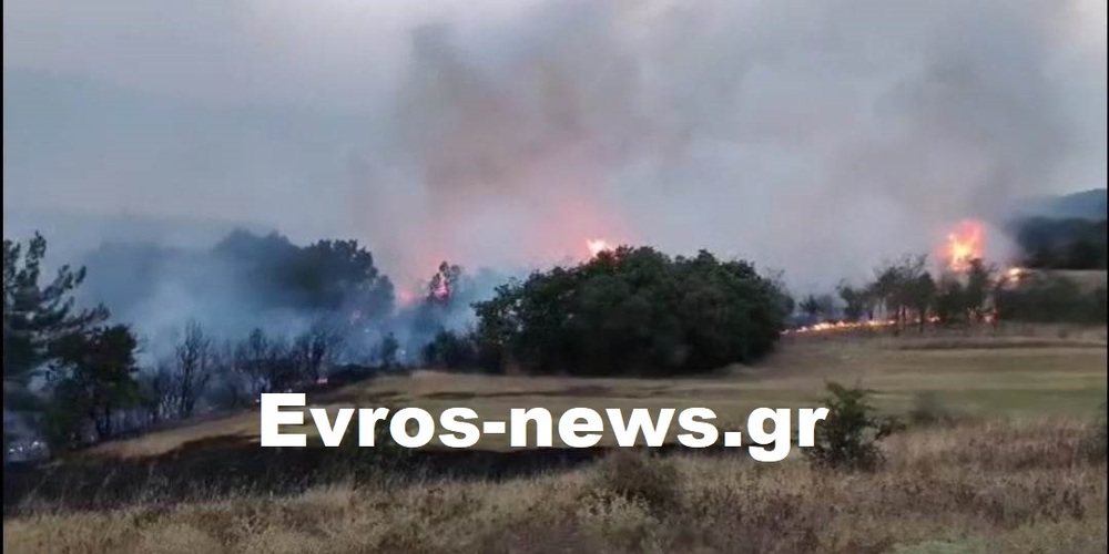 Συναγερμός για μεγάλη φωτιά στην Αλεξανδρούπολη – Σηκώθηκαν εναέρια μέσα